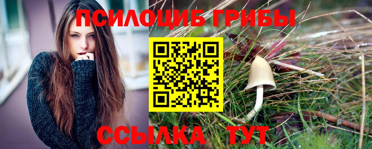 Псилоцибиновые грибы Psilocybine cubensis  Вход с VPN  Электрогорск  Галлюциногенные грибы мицелий 